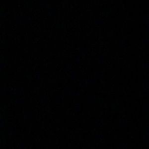 Meet your Posher, Coral